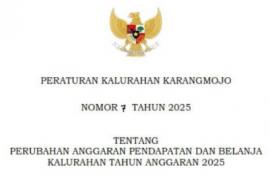 Peraturan Kalurahan tentang Perubahan APBKal Tahun Anggaran 2025